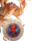 What? You never seen a dragon before? - See what else Dragonsite.com do!