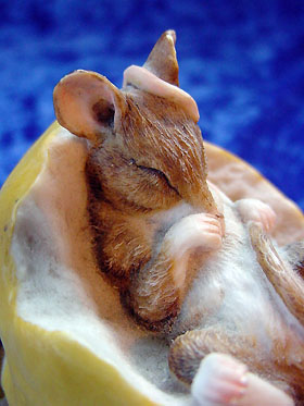 abill_mouseinapple_01.jpg