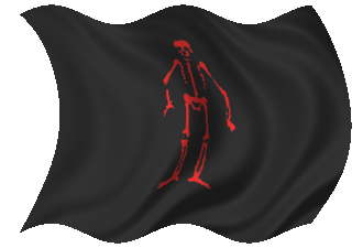 Said by many sites to be the flag flown by Edward Low