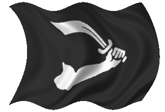 Said by many sites to be the flag flown by Thomas Tew