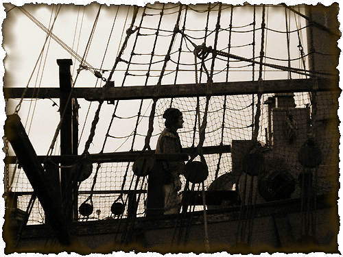 piratelife_08.gif